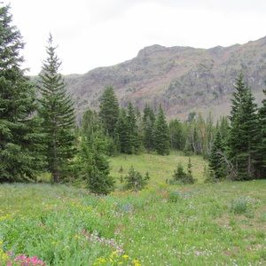 Meet your Posher, Annabelle